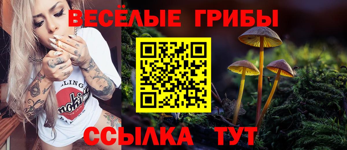 Гусь-Хрустальный  Псилоцибиновые грибы мухоморы  Вход с VPN 