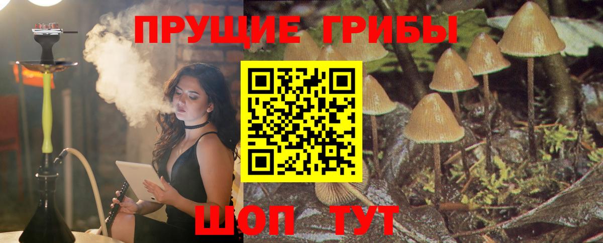 Псилоцибиновые грибы Magic Shrooms Гусь-Хрустальный